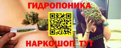 сатива Малгобек
